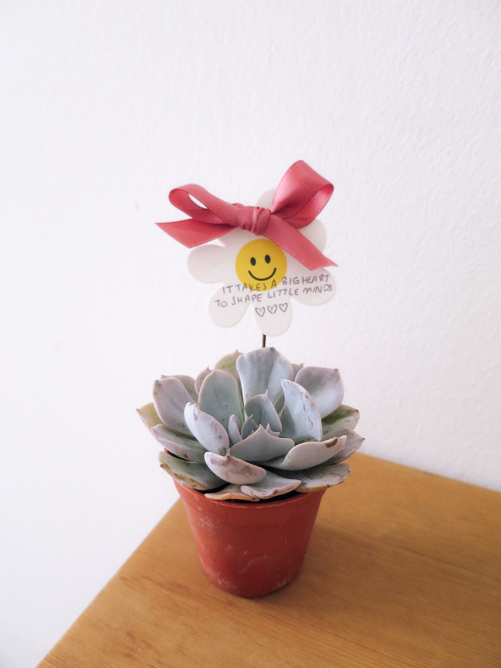 “Teach us to bloom” — 5 x Mini Succulent Pots
