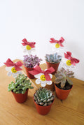 Five small potted succulents arranged on a wooden table against a plain white wall. Each pot has a terracotta-colored container, and several pots are tied with pink satin bows.